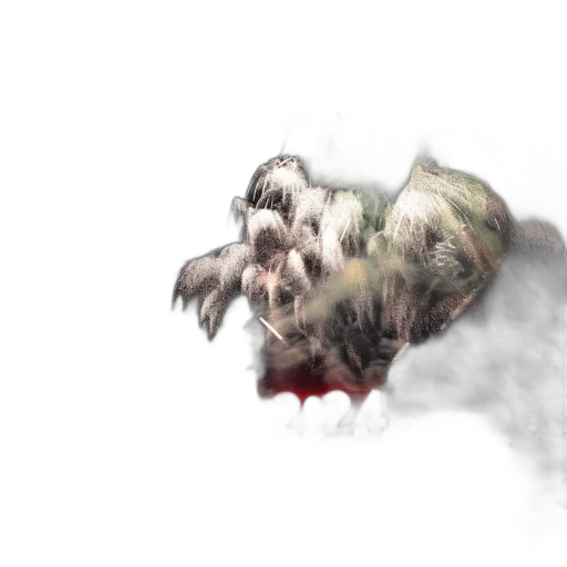dragon, creature, hair, animal transparent PNG cut-out