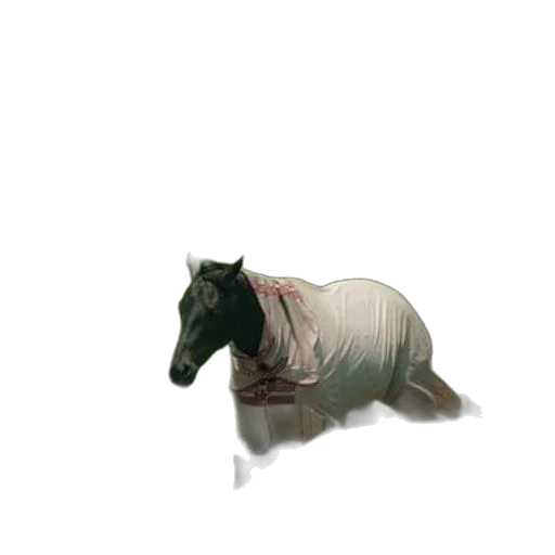 animal, creature, dragon, dress transparent PNG cut-out