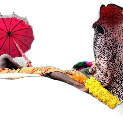 umbrella, hat, photorealistic, concept art transparent PNG cut-out