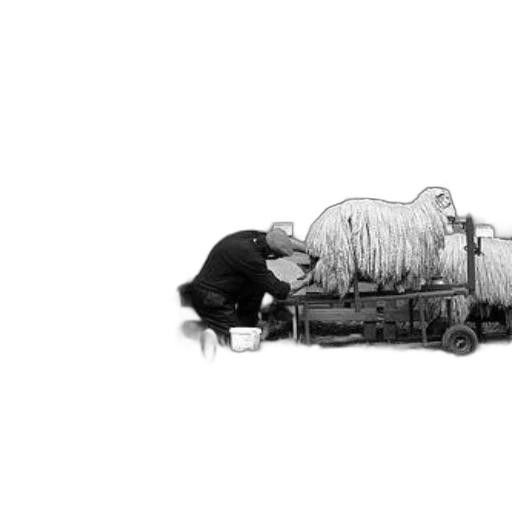 car, weapon, robot, bottle transparent PNG cut-out