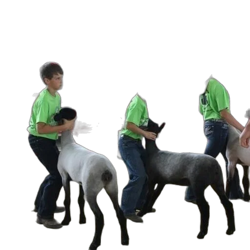 animal, staff, creature, 3d render transparent PNG cut-out