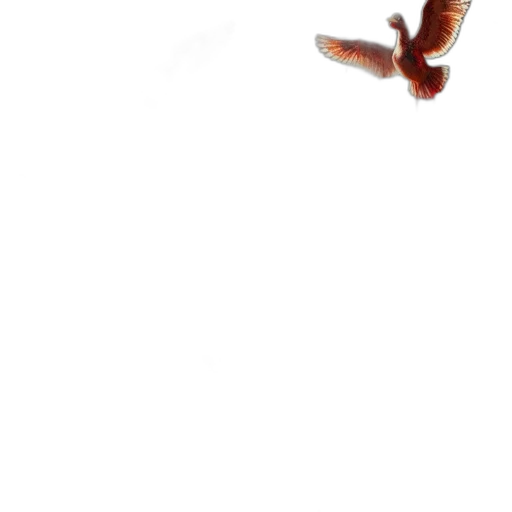 animal, dragon, creature, shoes transparent PNG cut-out