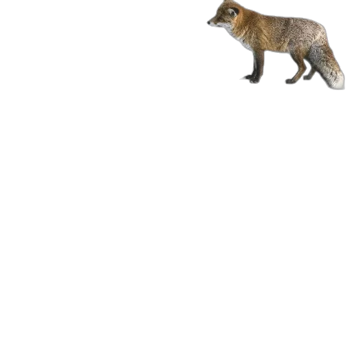 animal, creature, staff, weapon transparent PNG cut-out