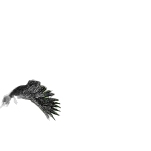 animal, hair, creature, dragon transparent PNG cut-out