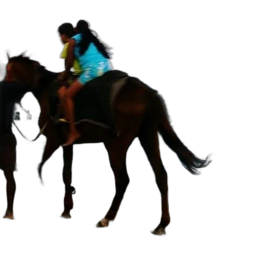 animal, 3d render, concept art, photorealistic transparent PNG cut-out