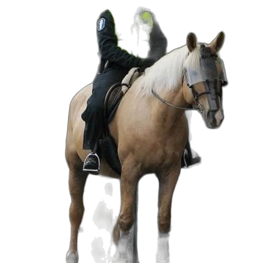 staff, animal, sword, weapon transparent PNG cut-out