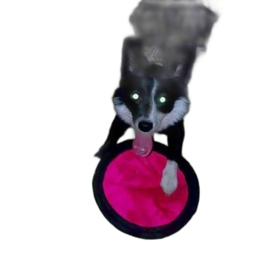 staff, mask, umbrella, animal transparent PNG cut-out