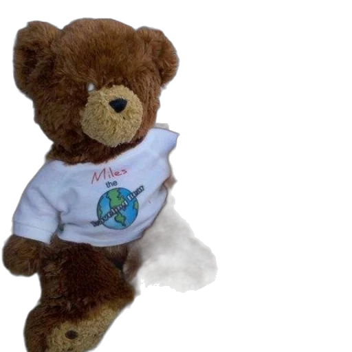 3d render, stuffed, bear, wearing transparent PNG cut-out