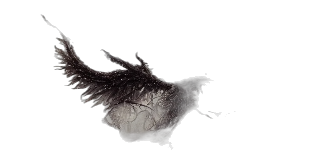 hair, dragon, crown, mask transparent PNG cut-out