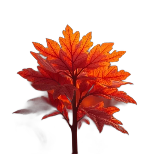 flower, crown, tree, staff transparent PNG cut-out