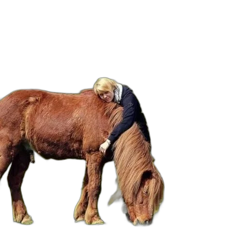 animal, hair, creature, weapon transparent PNG cut-out