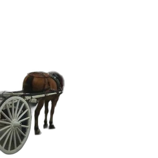 furniture, animal, car, weapon transparent PNG cut-out