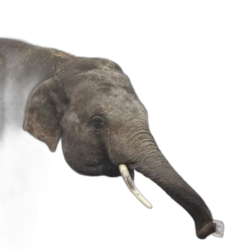 animal, creature, staff, weapon transparent PNG cut-out