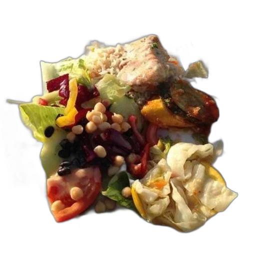 food, photorealistic, plate, colorful transparent PNG cut-out