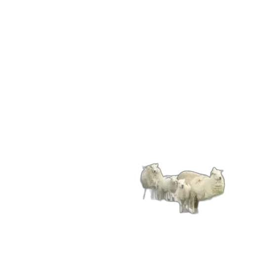 animal, creature, furniture, weapon transparent PNG cut-out