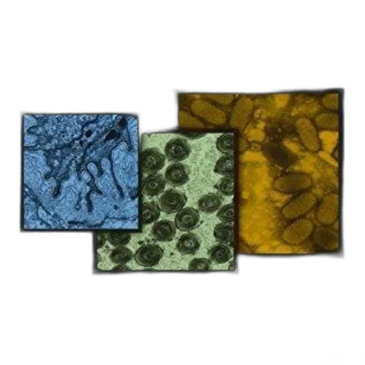 jewelry, earth tones, green, dark transparent PNG cut-out