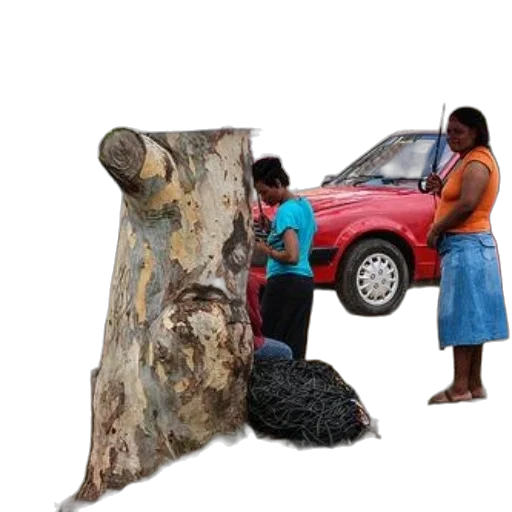 tree, car, hair, dress transparent PNG cut-out