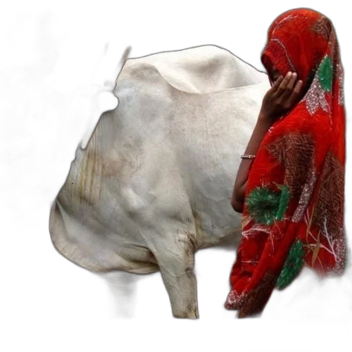 mask, food, dress, animal transparent PNG cut-out