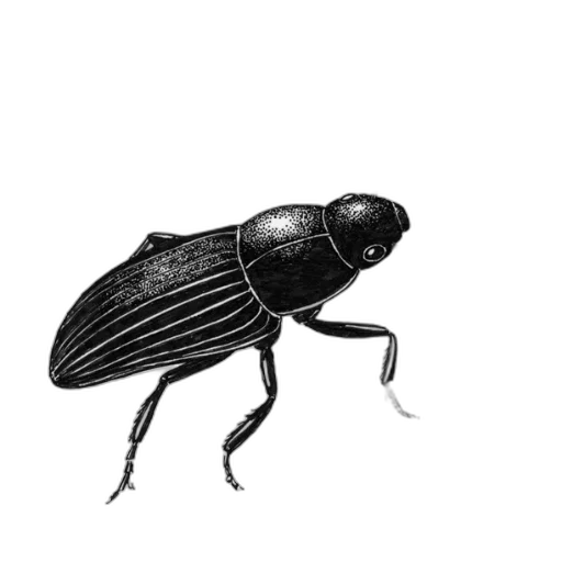 animal, creature, robot, jewelry transparent PNG cut-out
