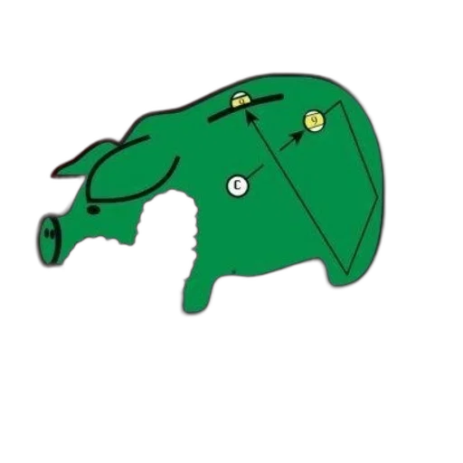 dragon, animal, staff, umbrella transparent PNG cut-out
