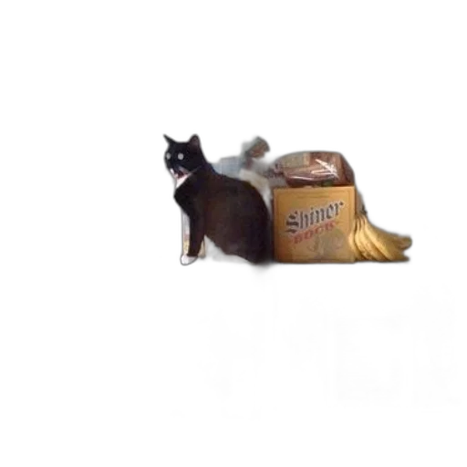 hat, animal, food, shoes transparent PNG cut-out