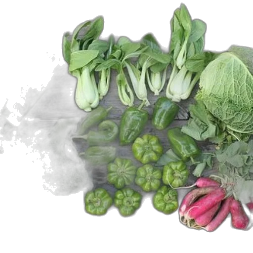 food, photorealistic, 3d render, green transparent PNG cut-out