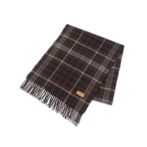 jacket, brown, plaid, scarf transparent PNG cut-out