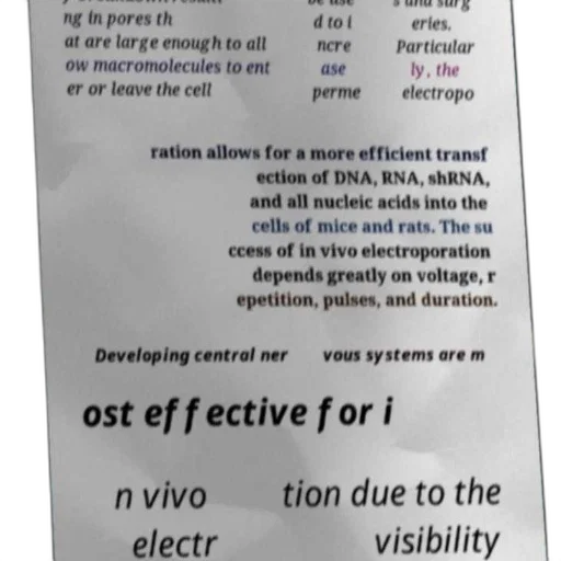 jewelry, informative, poster, about transparent PNG cut-out