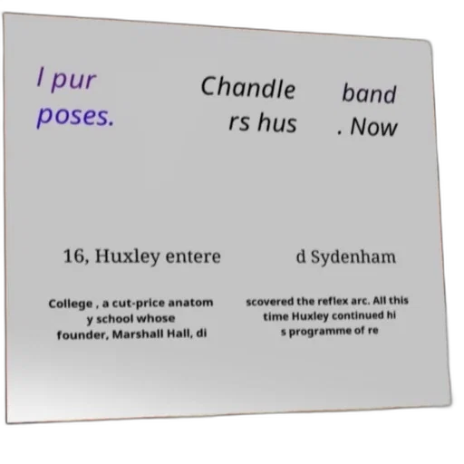 jewelry, text-based, image, discussing transparent PNG cut-out