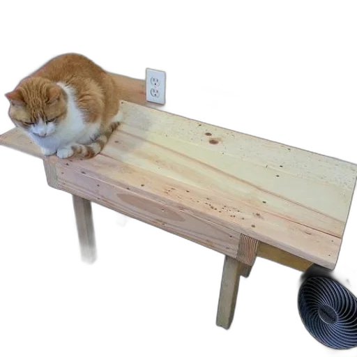 furniture, staff, animal, weapon transparent PNG cut-out