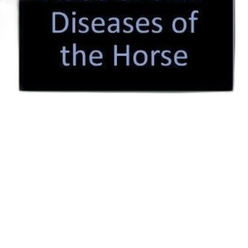 cover, diseases, horse, leopoldo transparent PNG cut-out