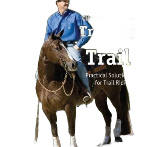 jacket, staff, photorealistic, man transparent PNG cut-out