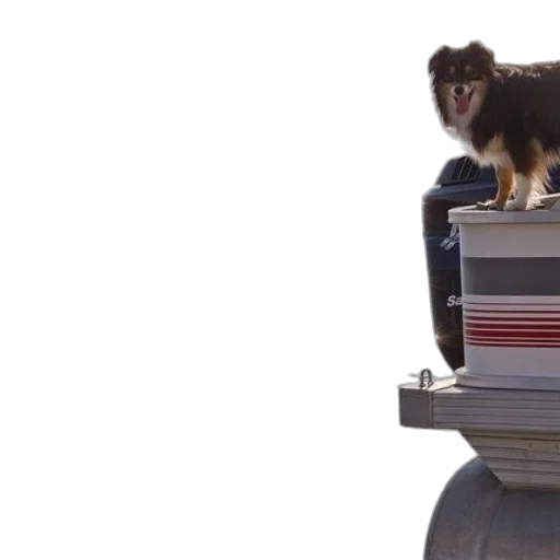 animal, car, robot, creature transparent PNG cut-out