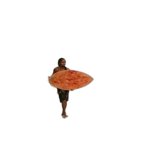 umbrella, food, dress, jacket transparent PNG cut-out