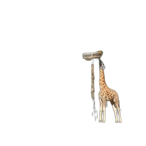 animal, jewelry, staff, weapon transparent PNG cut-out
