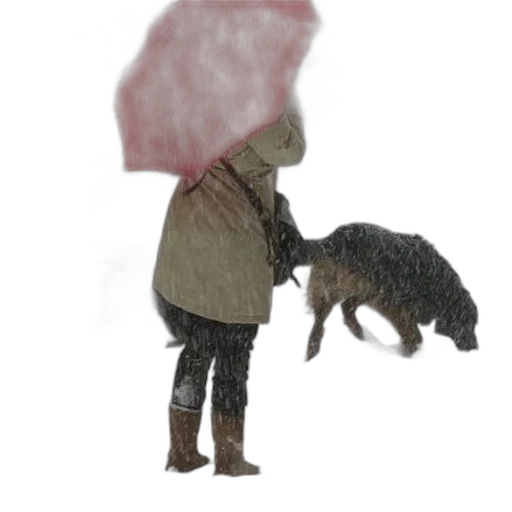 umbrella, animal, hat, creature transparent PNG cut-out