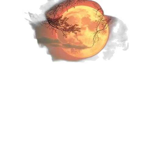 dragon, flower, staff, mask transparent PNG cut-out