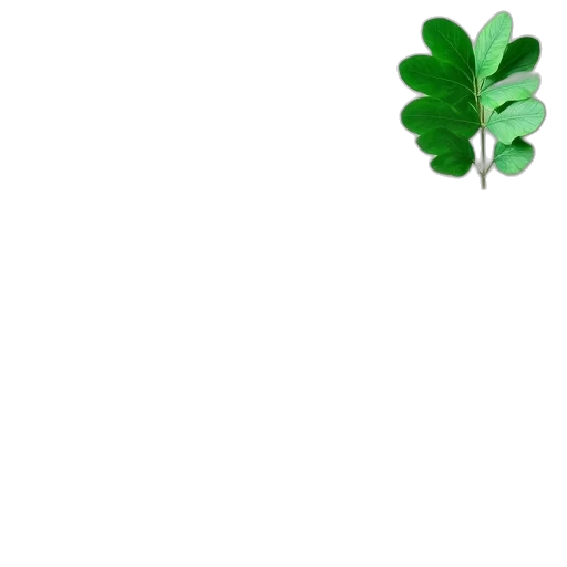 flower, tree, weapon, crown transparent PNG cut-out
