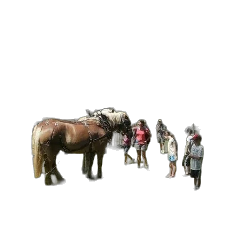 animal, staff, creature, weapon transparent PNG cut-out