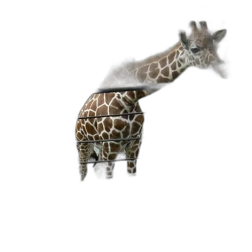 animal, creature, hat, staff transparent PNG cut-out