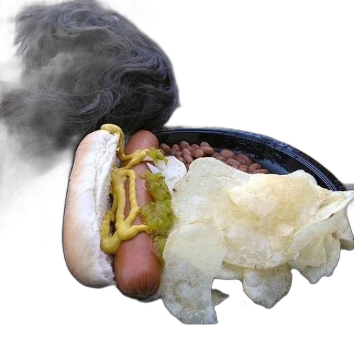 food, animal, creature, dragon transparent PNG cut-out