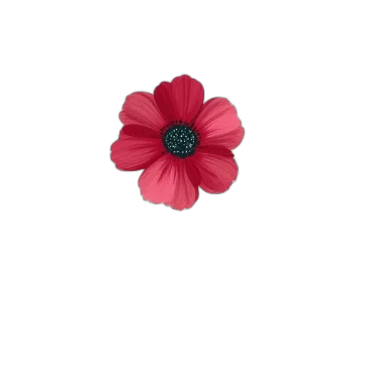 flower, jewelry, crown, hat transparent PNG cut-out