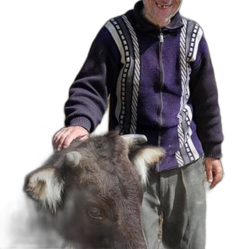 animal, jacket, creature, staff transparent PNG cut-out