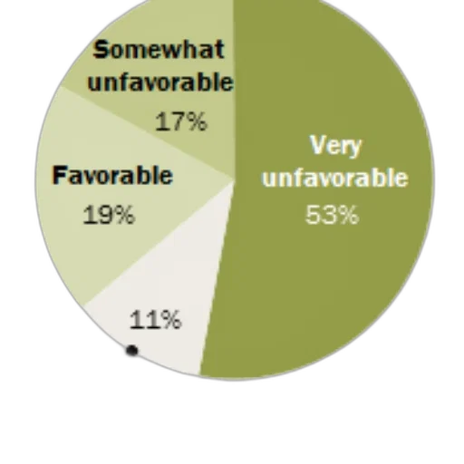 umbrella, pie, chart, showing transparent PNG cut-out