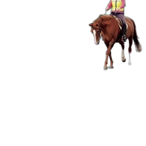 animal, staff, creature, hat transparent PNG cut-out