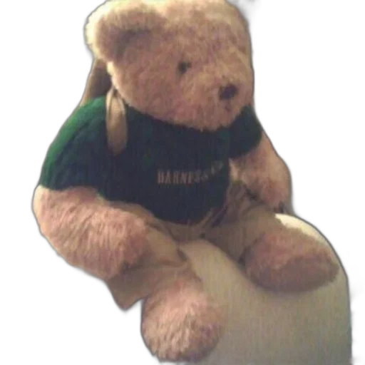 staff, teddy, bear, wearing transparent PNG cut-out
