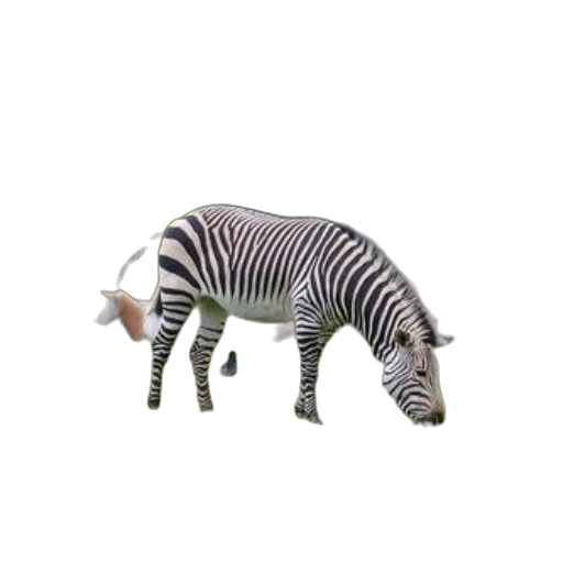 animal, creature, robot, dragon transparent PNG cut-out