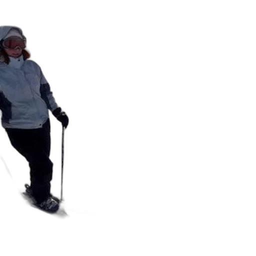 staff, snow, skier, gray transparent PNG cut-out