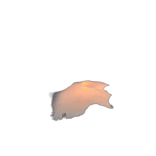hair, animal, creature, face transparent PNG cut-out