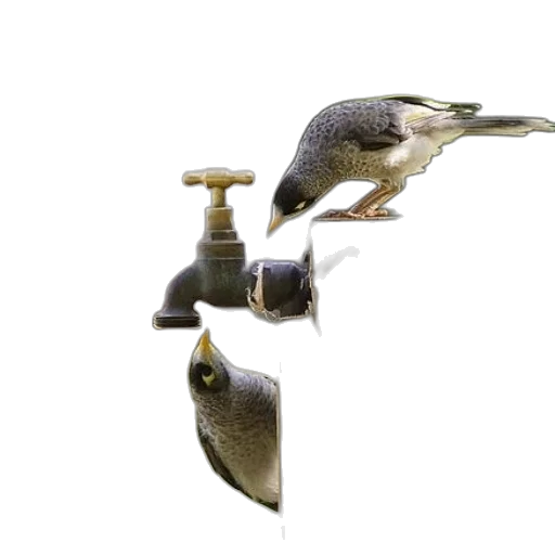 animal, jewelry, 3d render, photorealistic transparent PNG cut-out